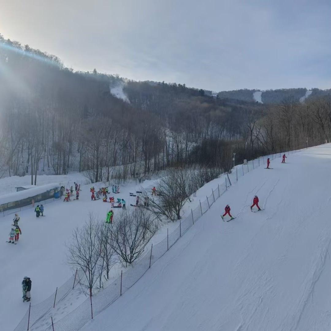 亚雪阅途旅游