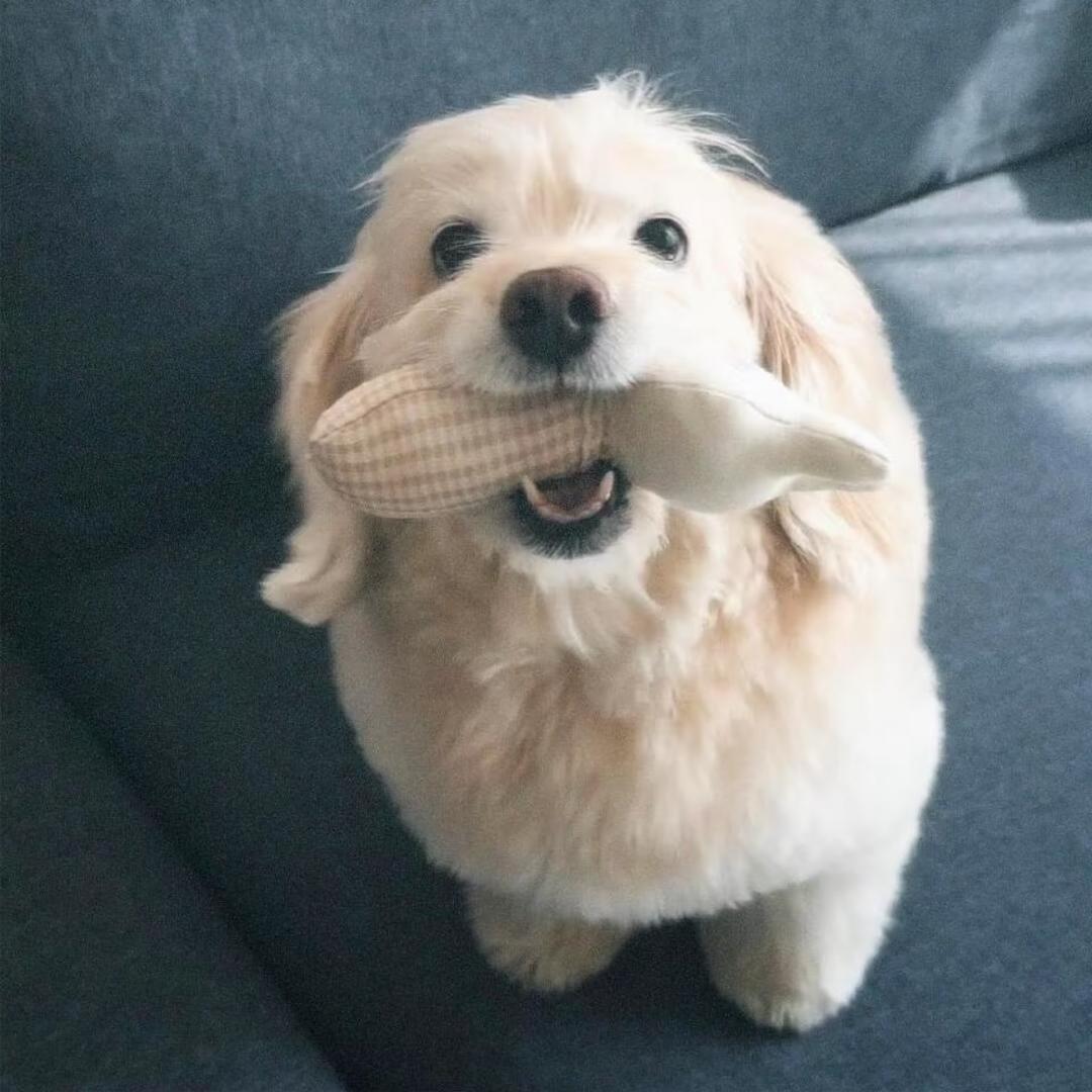 素