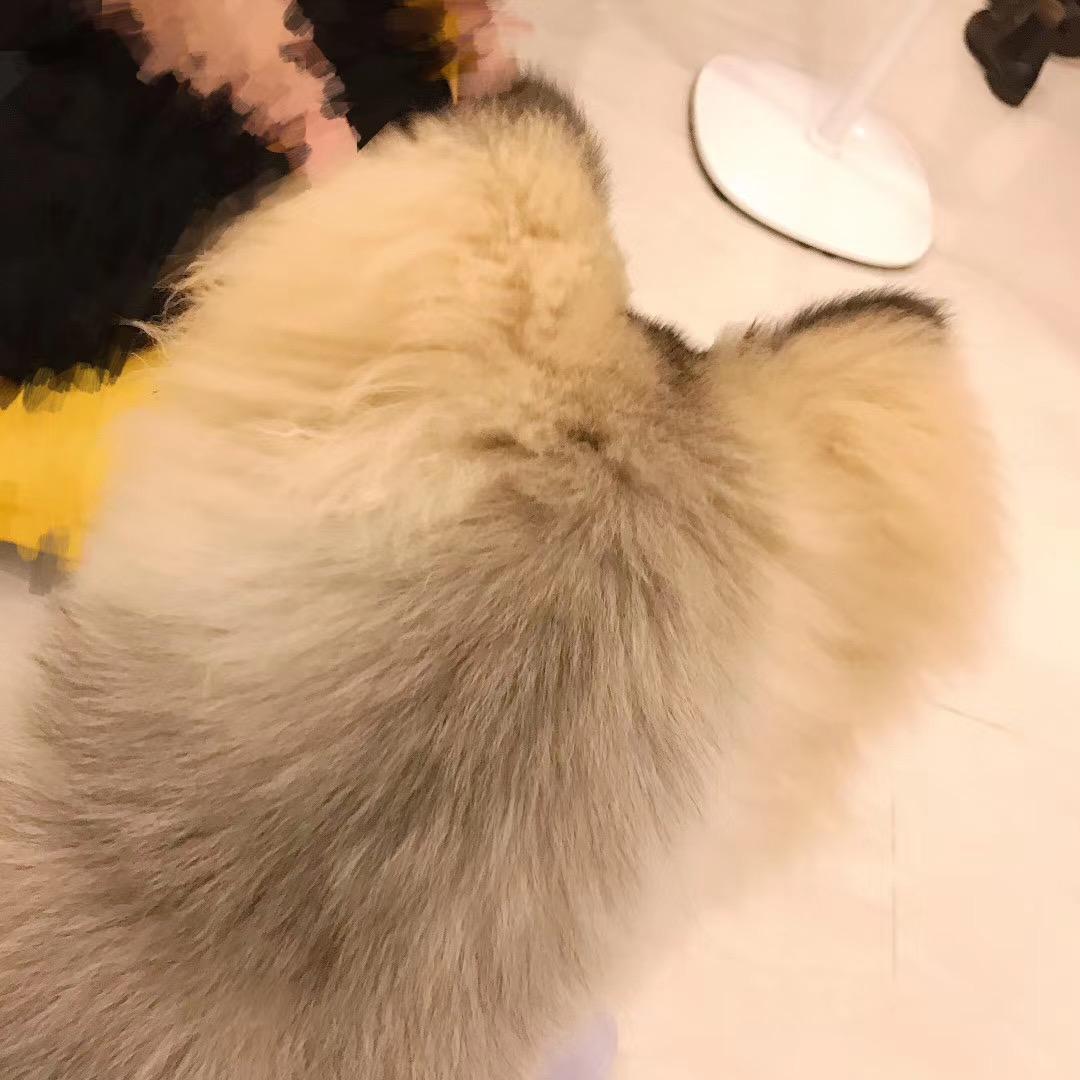 馒头