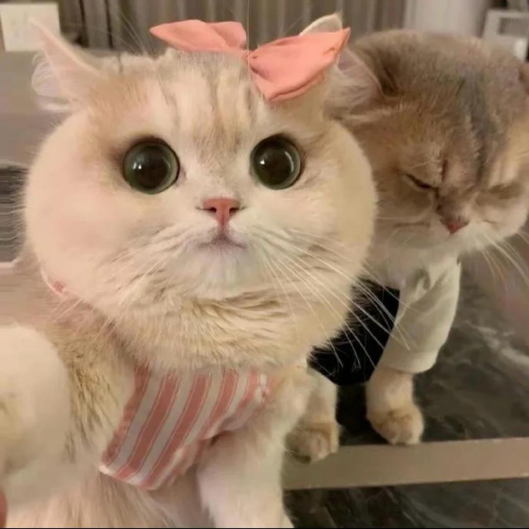 ^