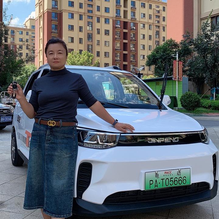 新能源低速车刘姐