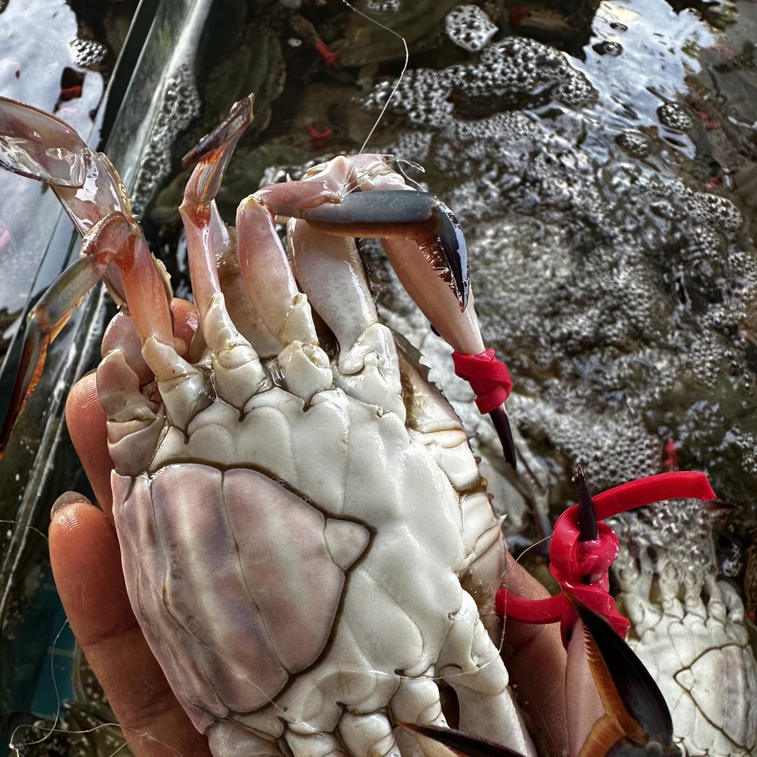 鑫淼水产平价超市