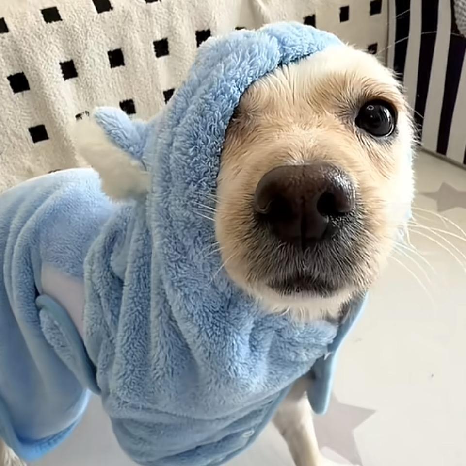🌦️
