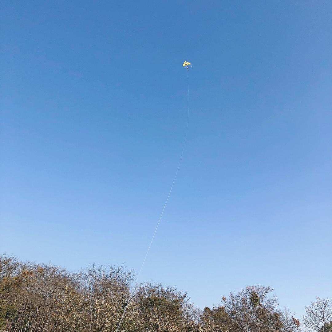 财神爷的宝