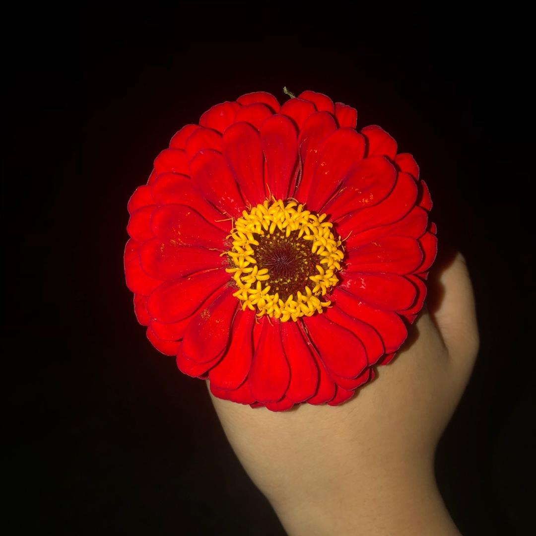 唯爱❤️