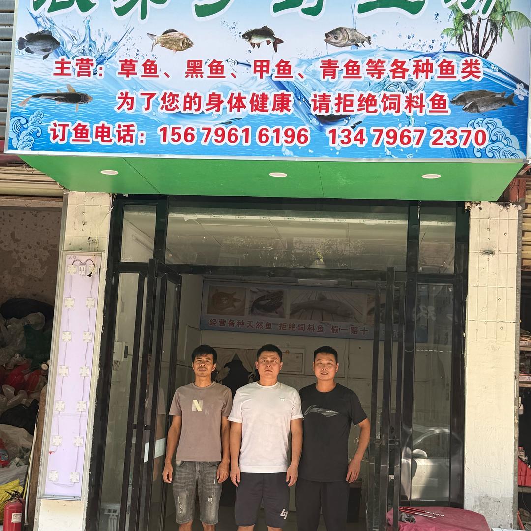 表弟寻鱼记