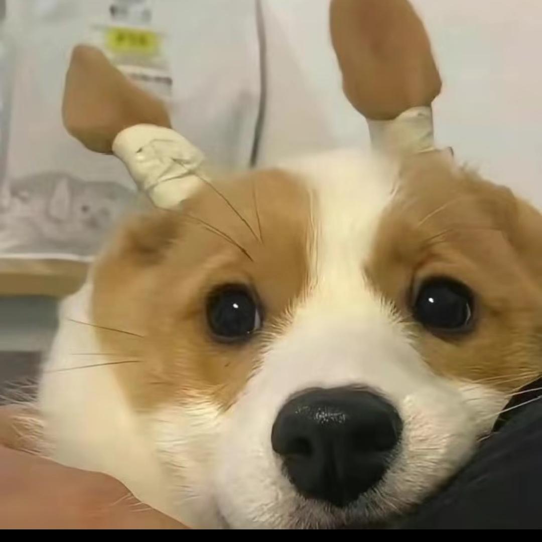 ⭐⭐