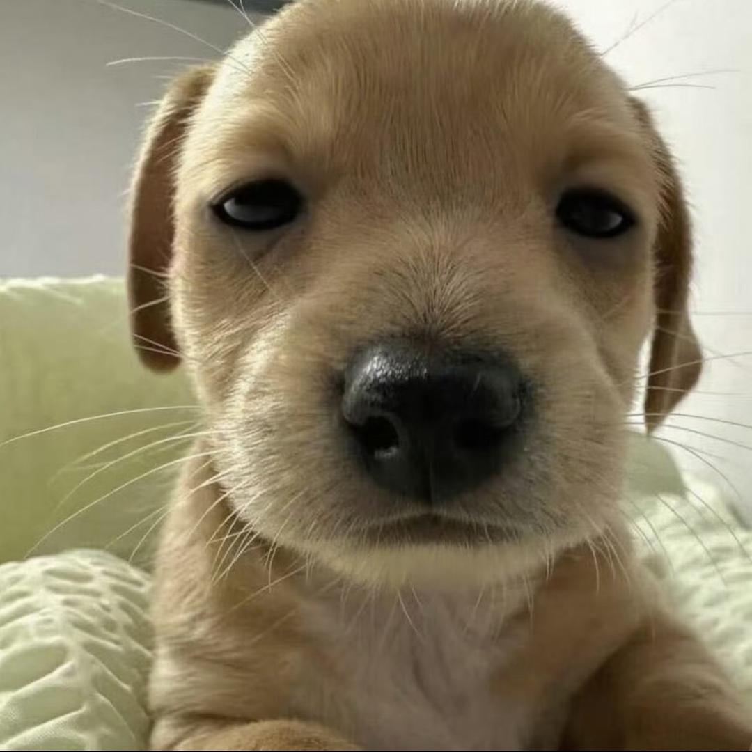ffff