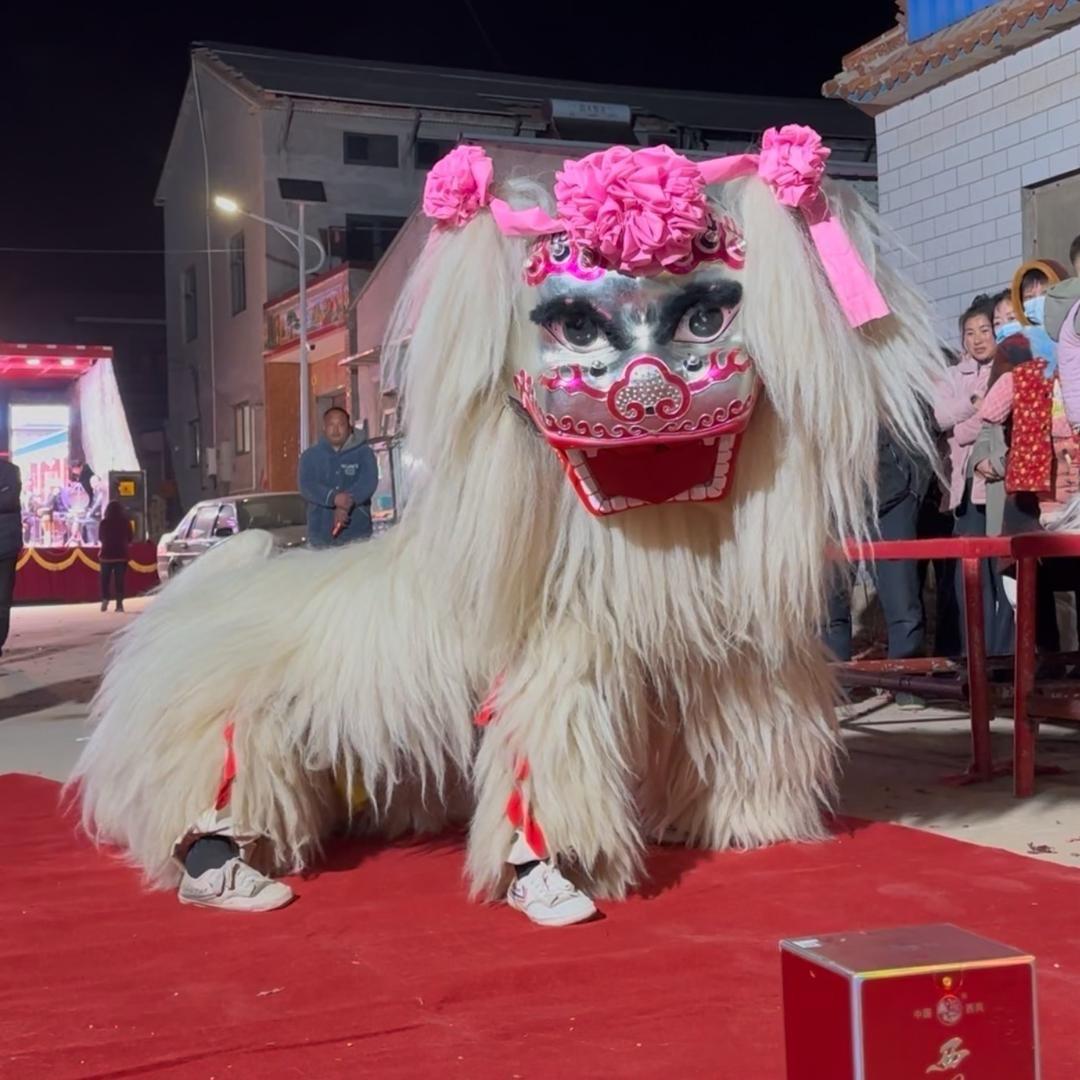 精彩小白狮演绎团（张磊）