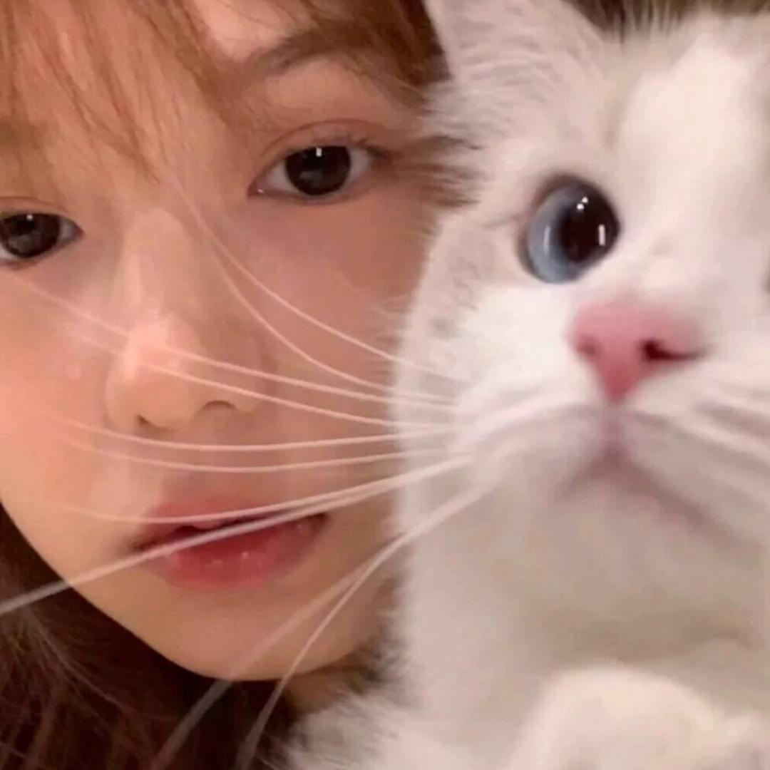宅女与猫～