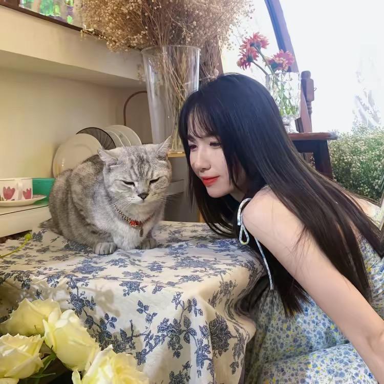 小郑郑