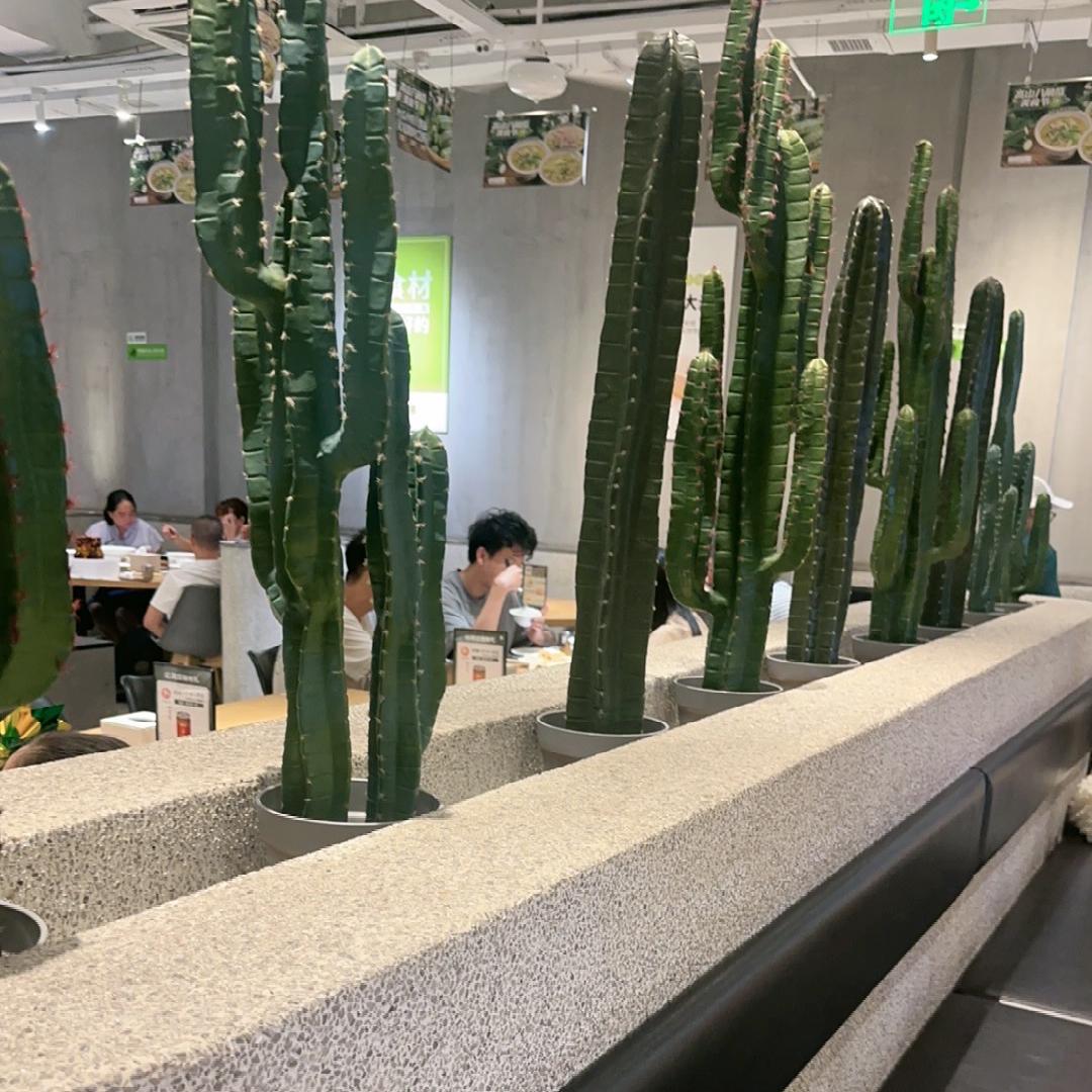 小小鱼二