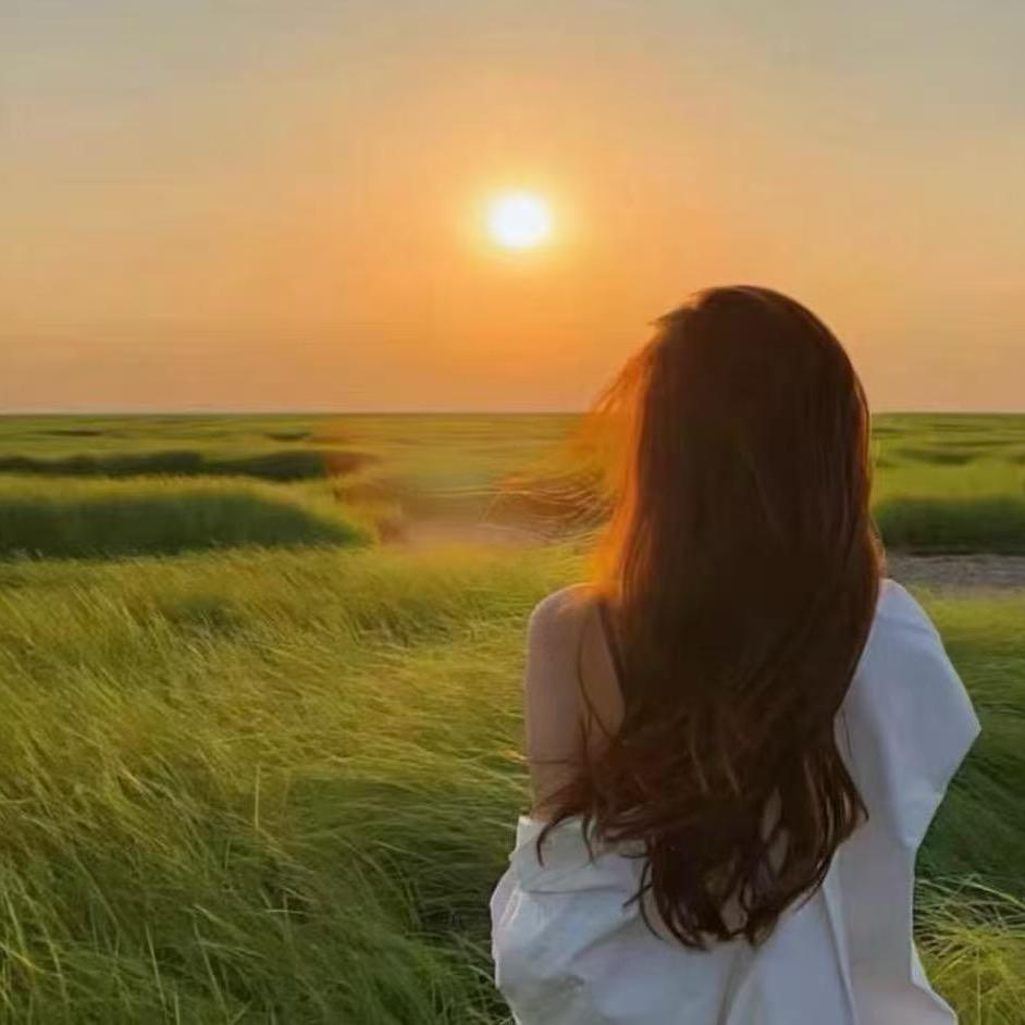 鹤壁威佳上汽大众-奥丽