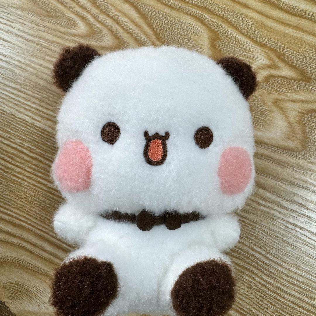 芝士猫