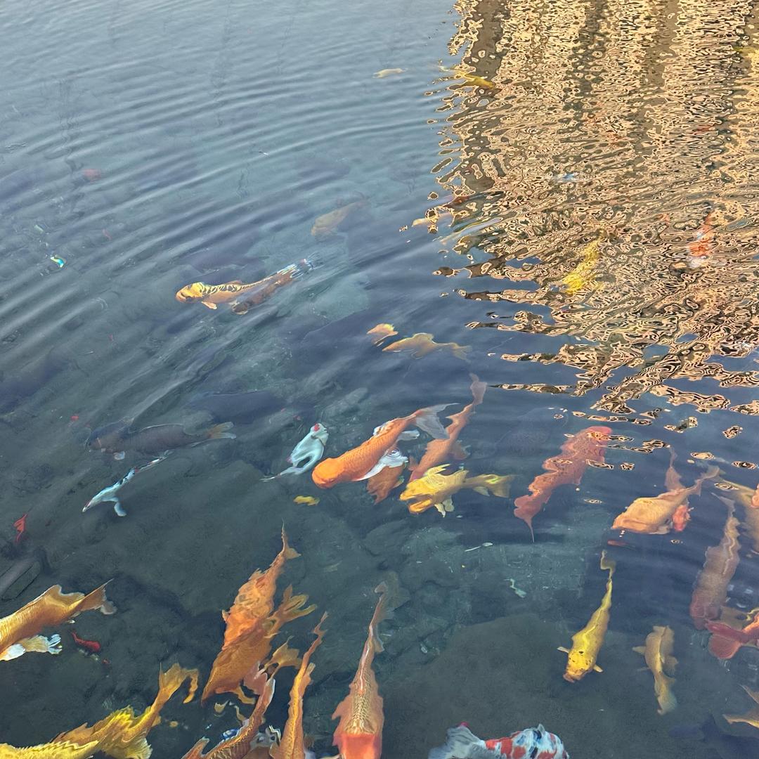 河北海智多供应链（主做线材）