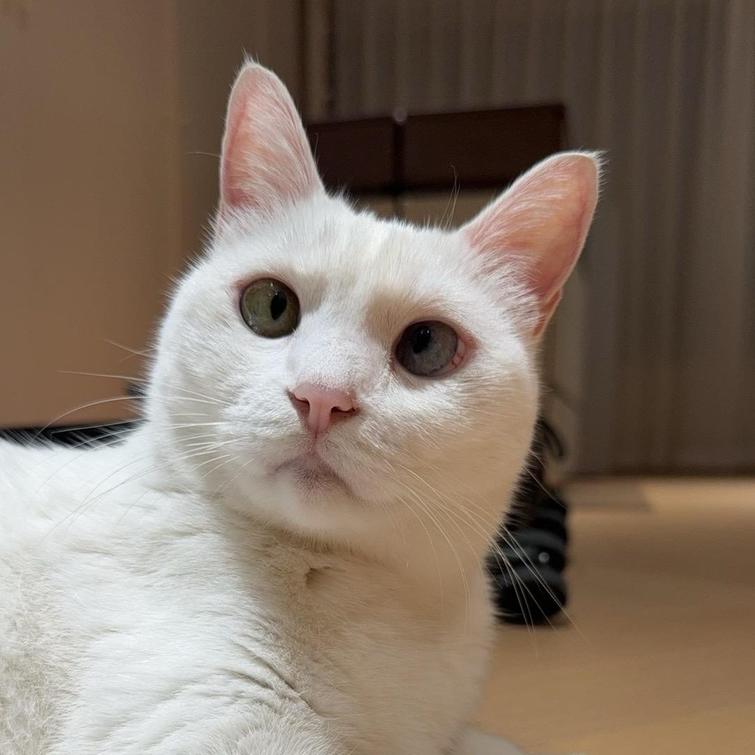 制裁🐼🐾 ¹¹⁰⁸