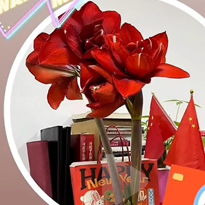 静华
