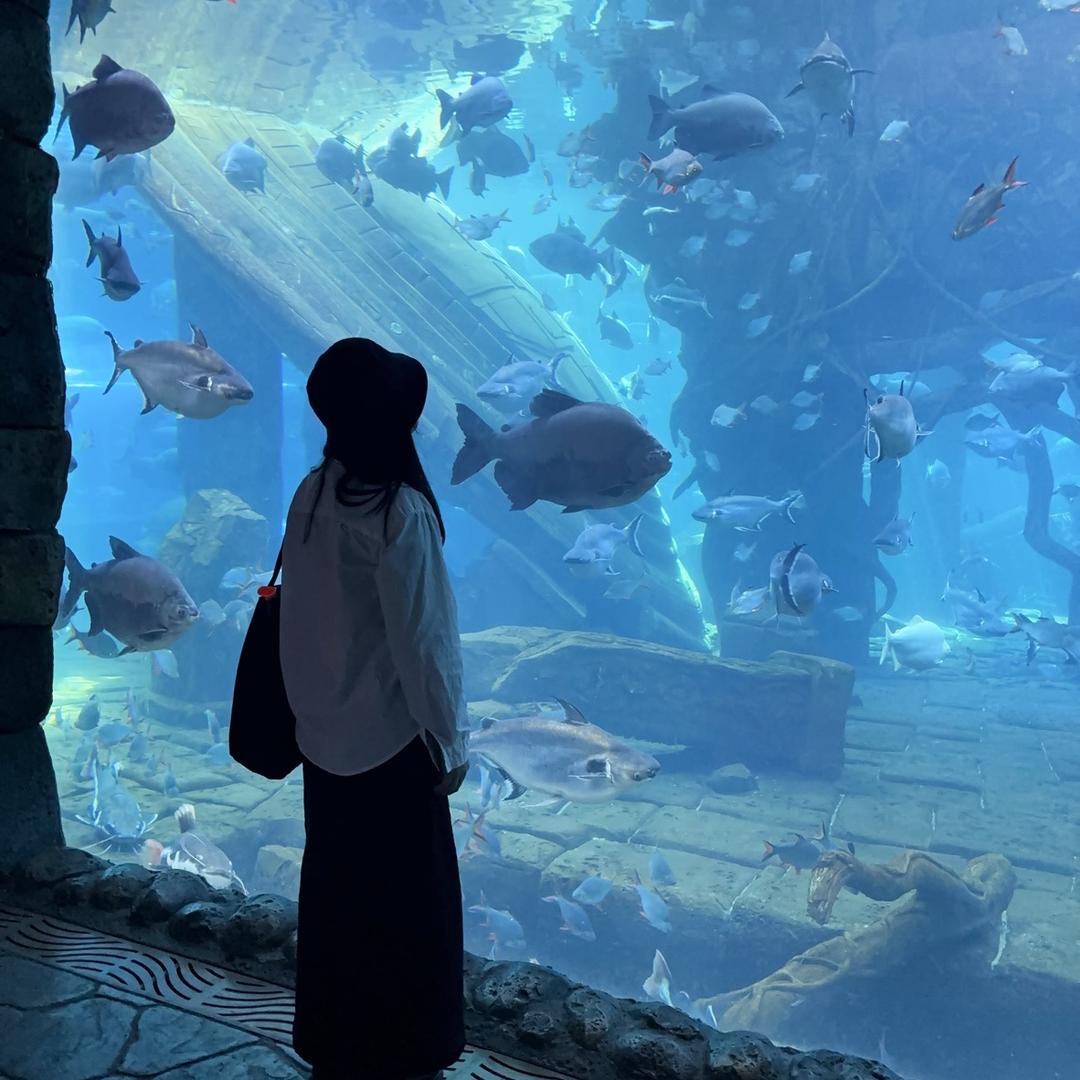 长治九匠系统门窗萌萌