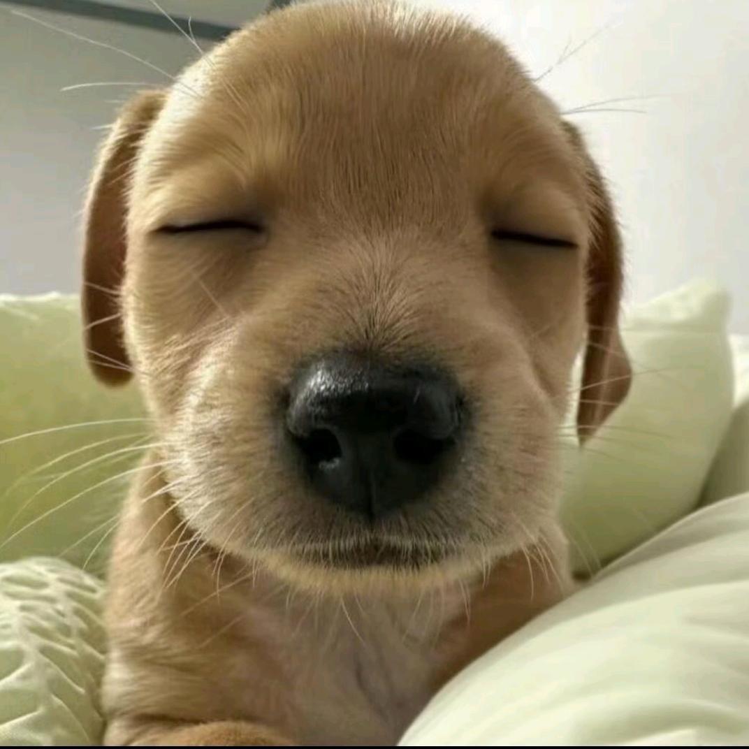 可乐你最美