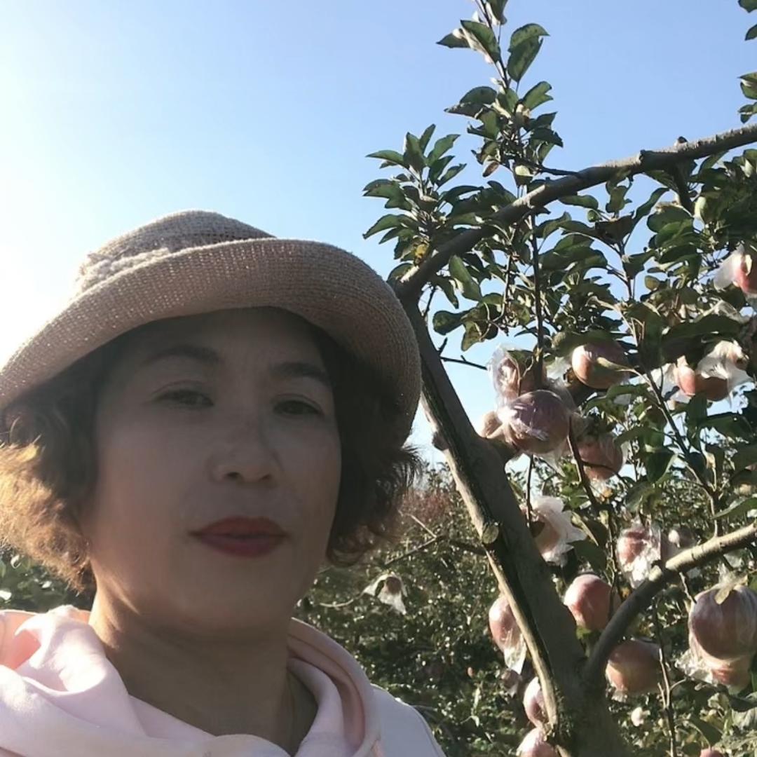阑姐（兰姐）