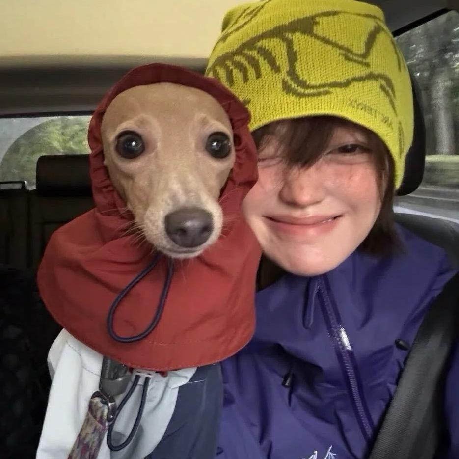 高冷KT猫𖦹 .𖦹