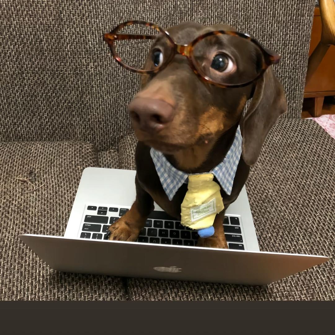 拜见薯条女王🍟