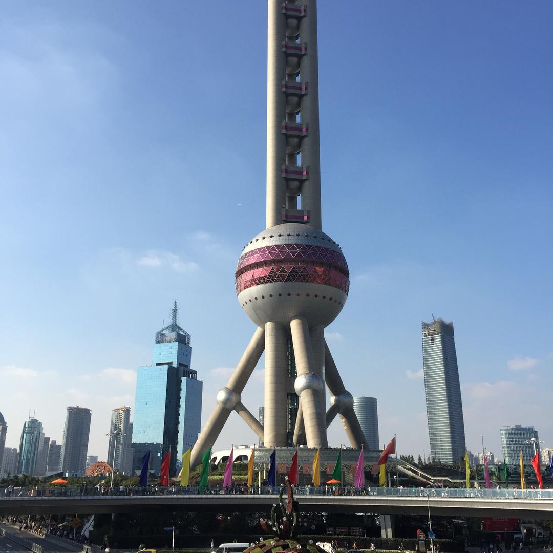 生产队的驴🫏