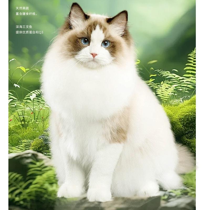 邢博士宠物食品仓储店