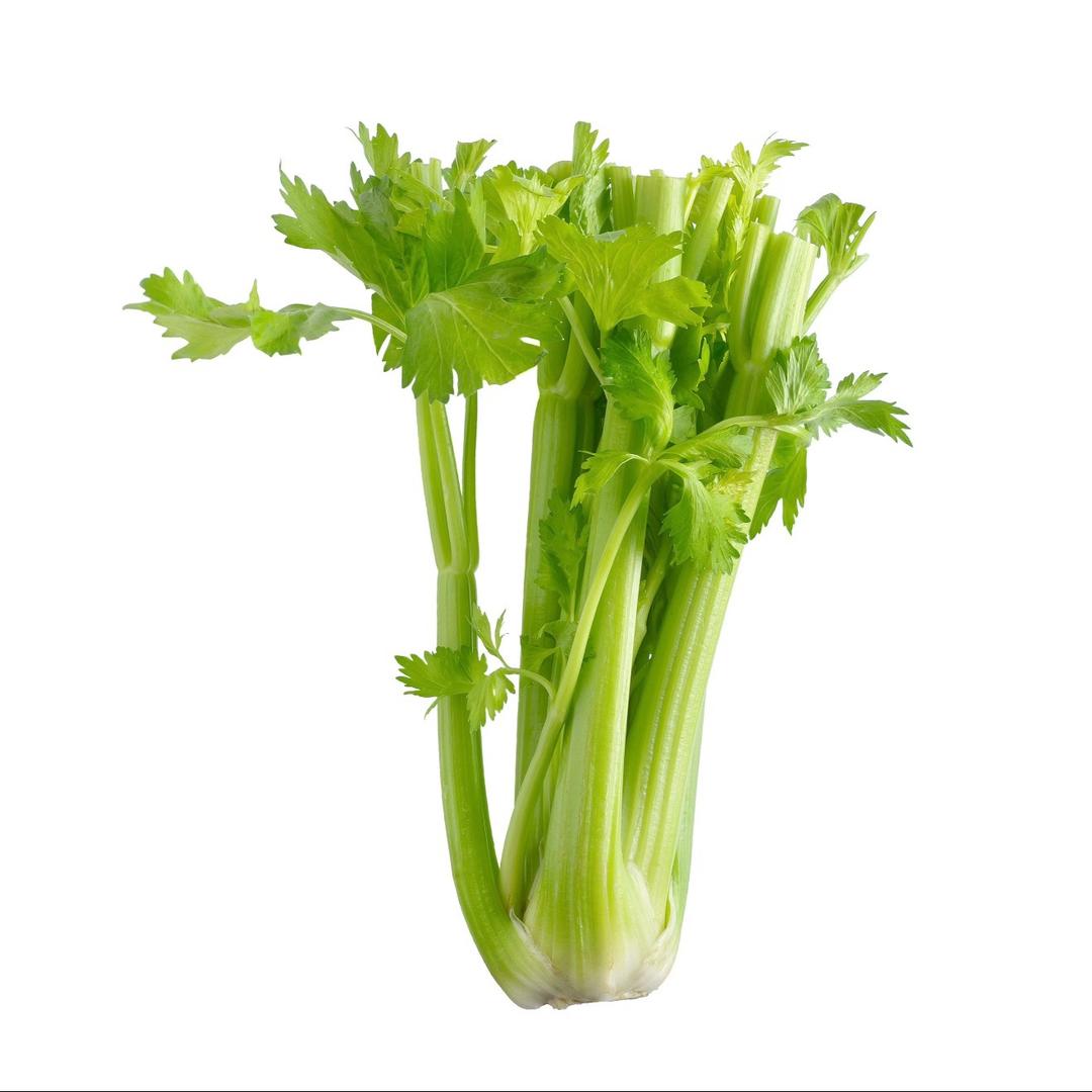 芹菜i