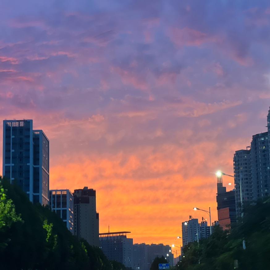 沿路华丽灿烂