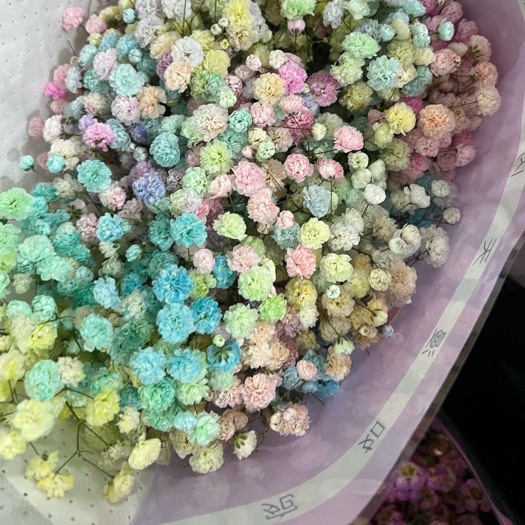 斌斌花卉（鲜花批发）