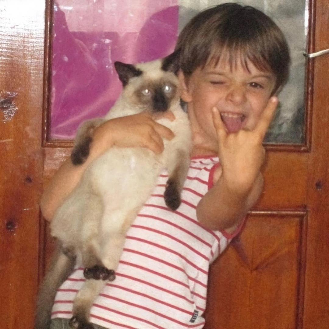 抽刀断牛刀两段