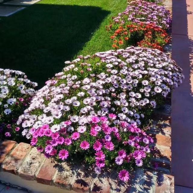 幸福领航快乐满街