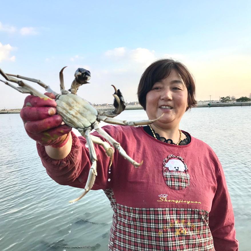 蟹农庄兴化红膏大闸蟹
