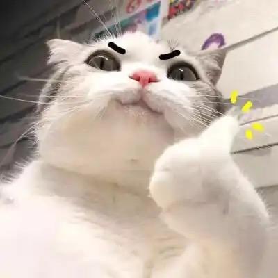舞圭用