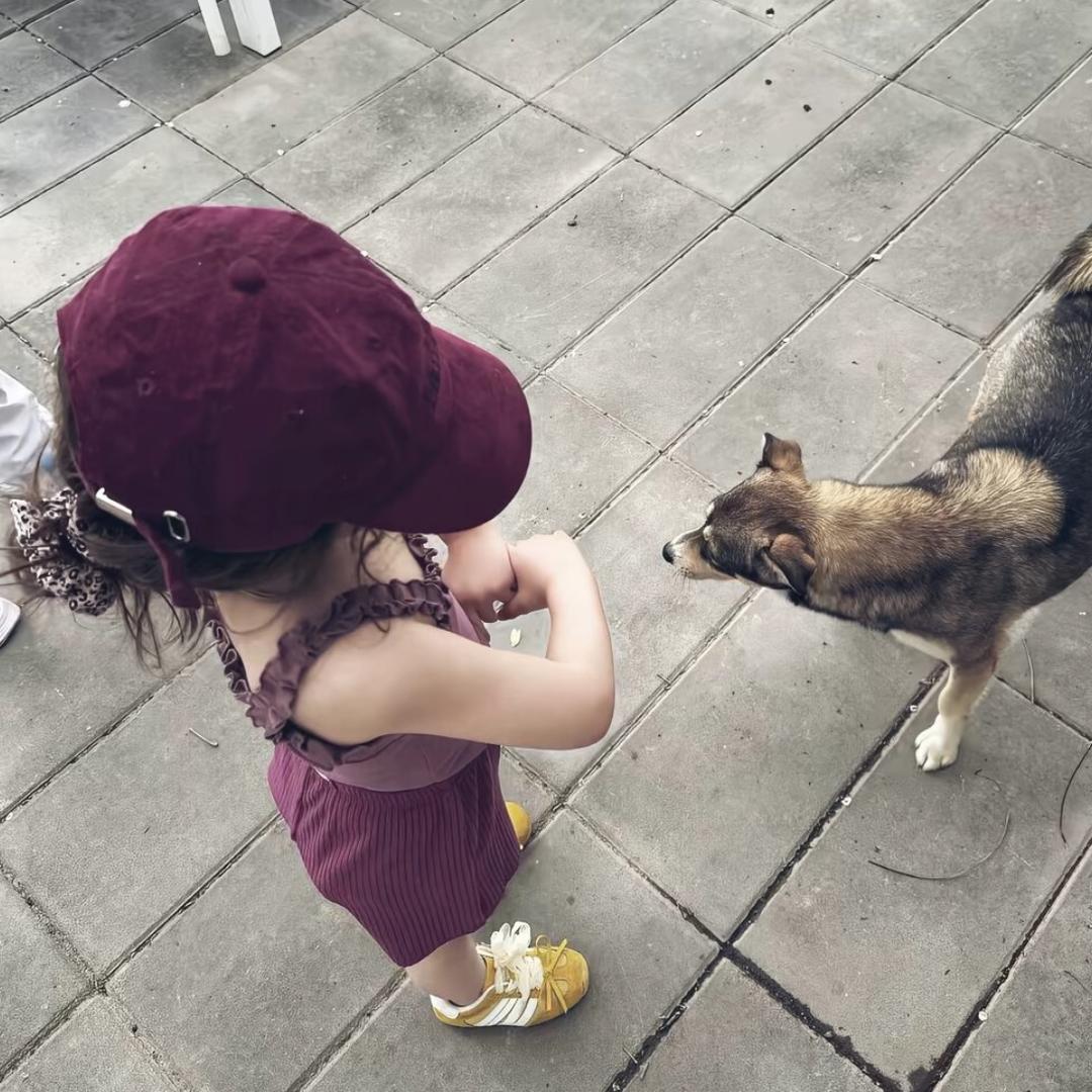 毛毛.