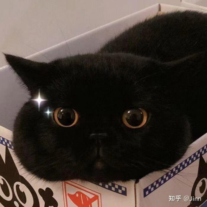 佐野