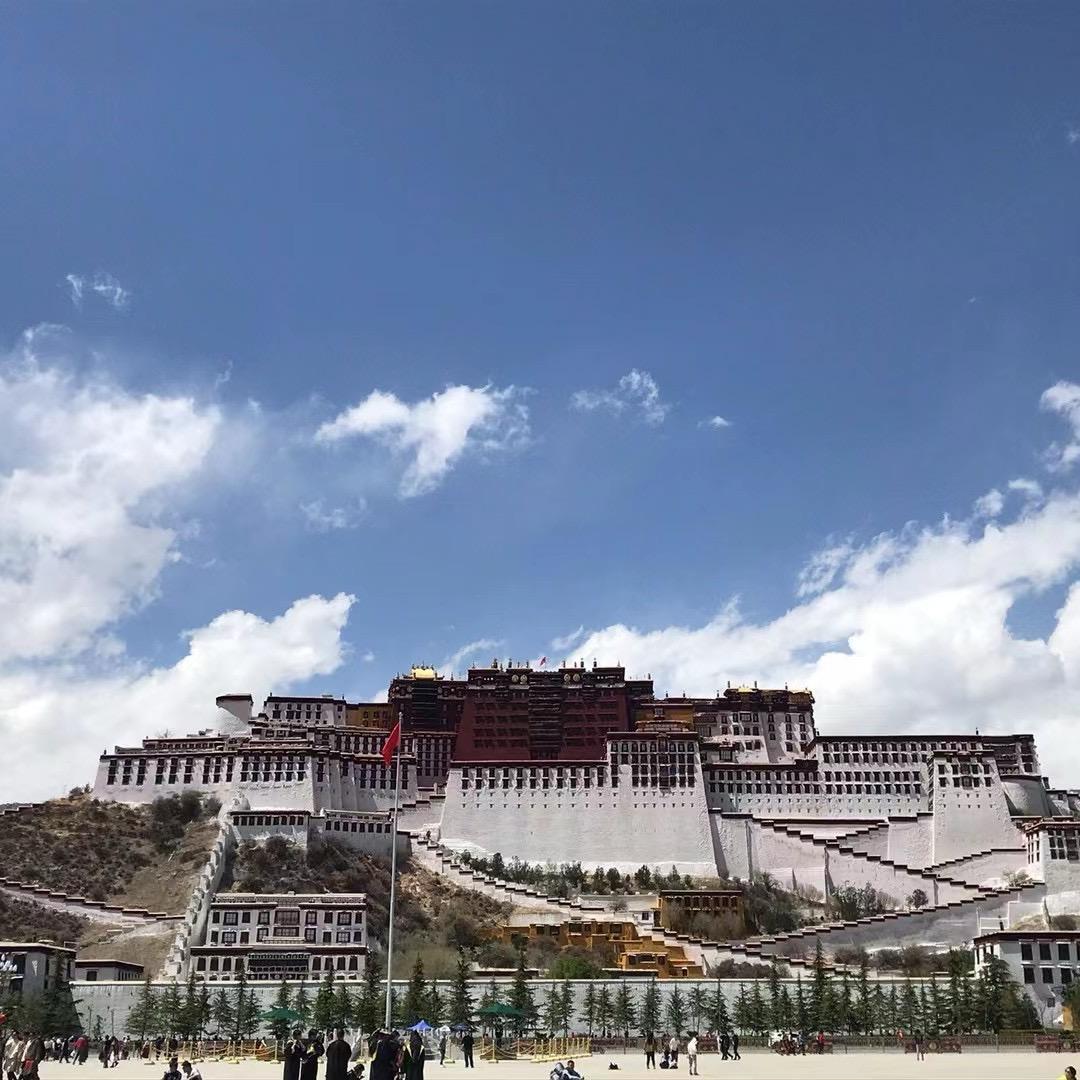 鼎盛茶府官方号