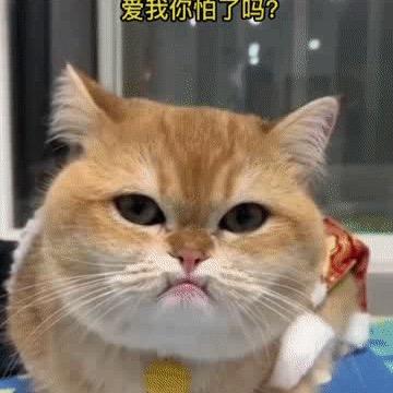 楚门