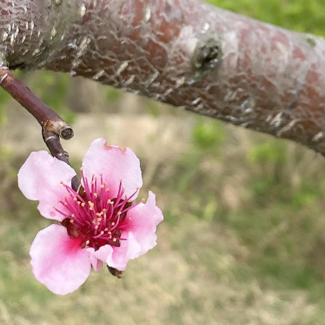 意想不到