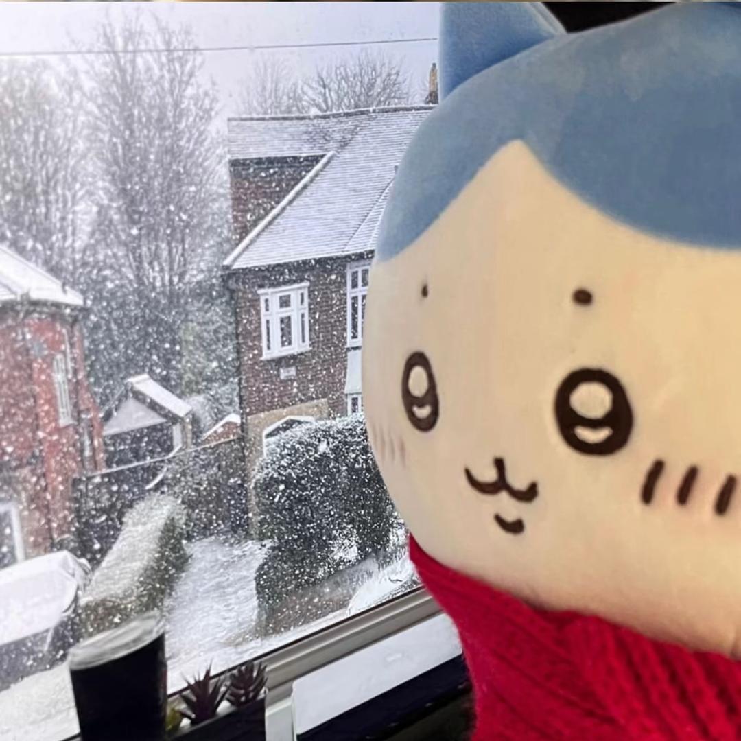 ⁥  ⁥⁥ ⁥  ⁥⁥