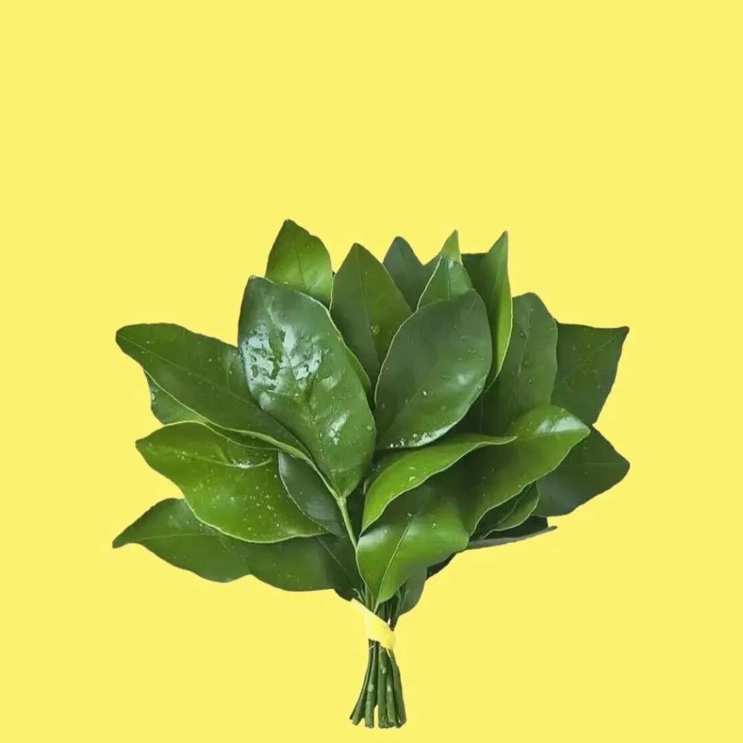 卖草莓的小仙女🍓