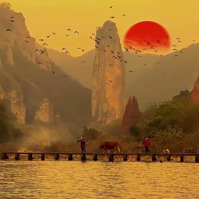 杏林大师兄