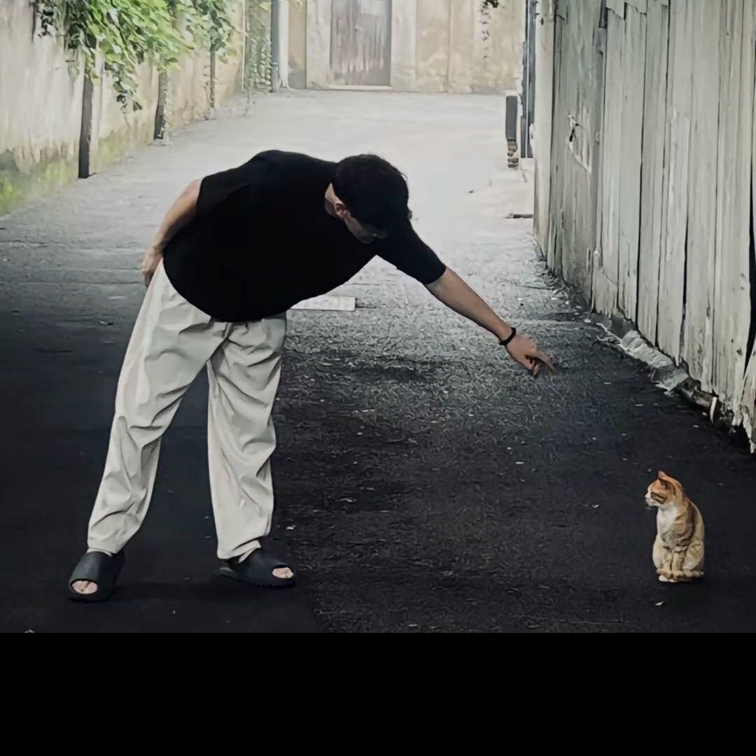 9饼
