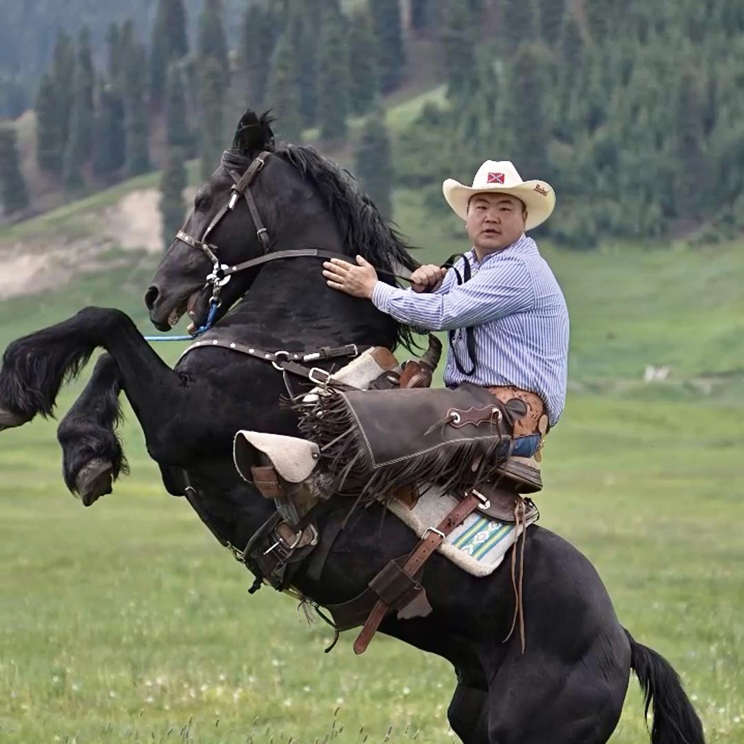 走马部落大狮哥