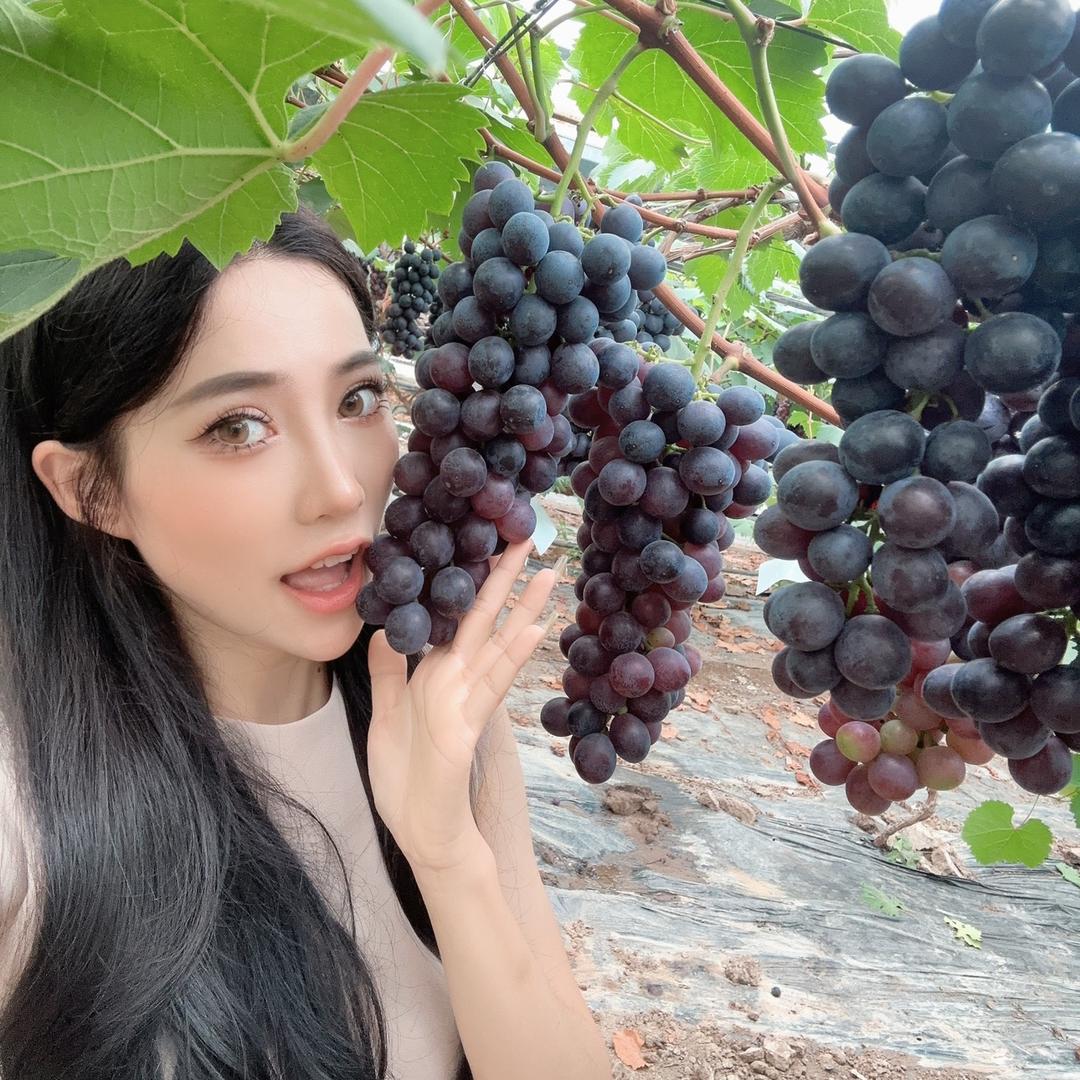 豆豆爱吃甜芦粟