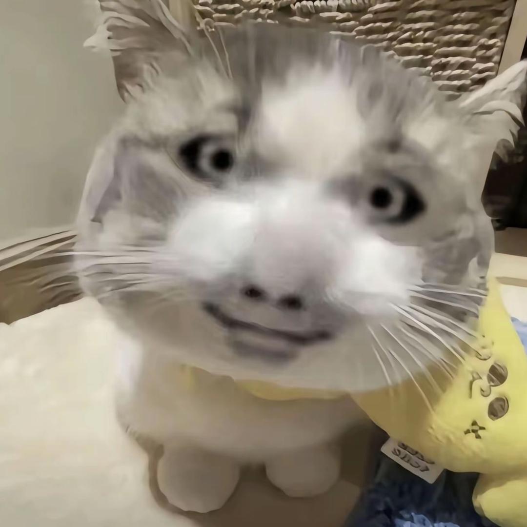 野猪大王