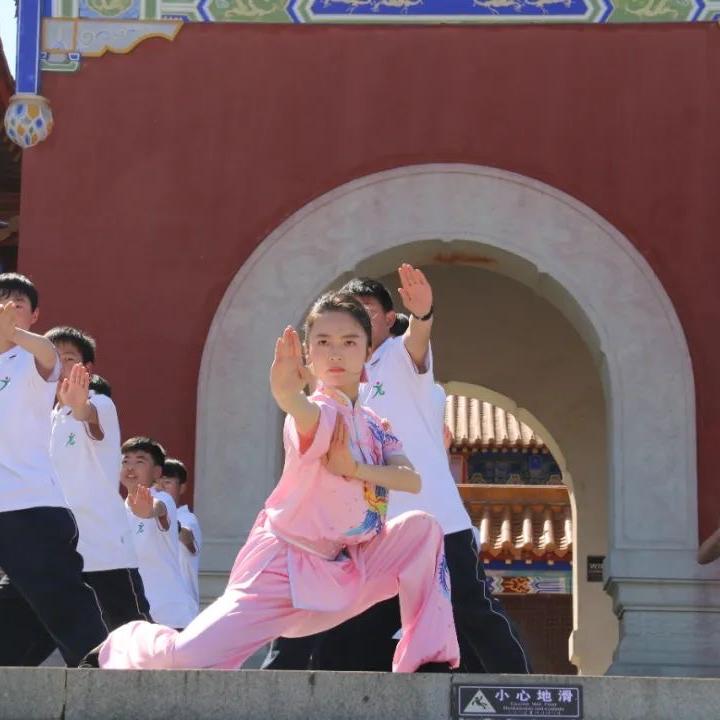 枣阳振华武术馆