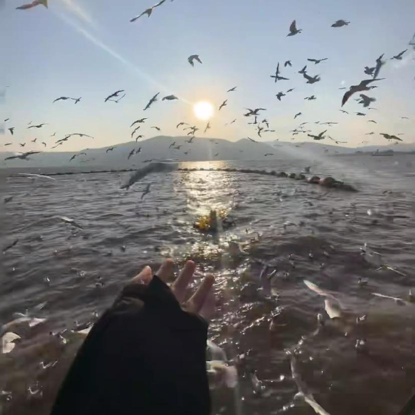 家柱商贸家柱直播七号