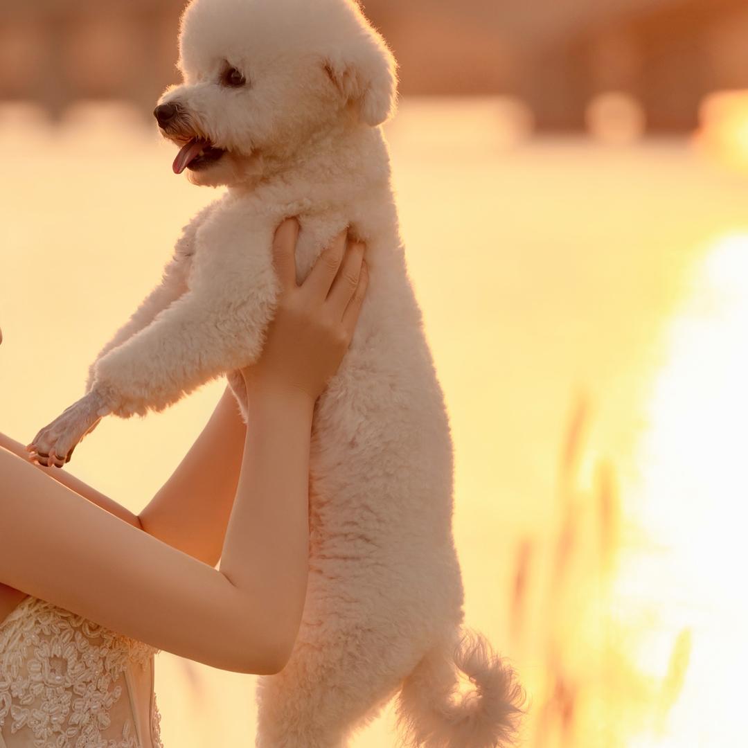 李子花真的太好看